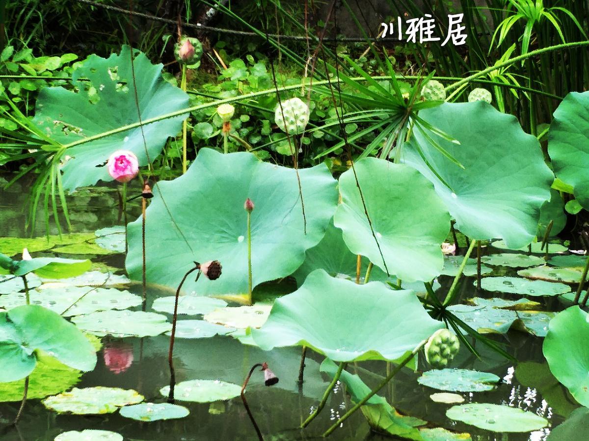 Chuan Ya Ju Homestay Qishan Екстериор снимка